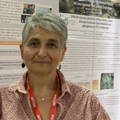 Domizia Donnini