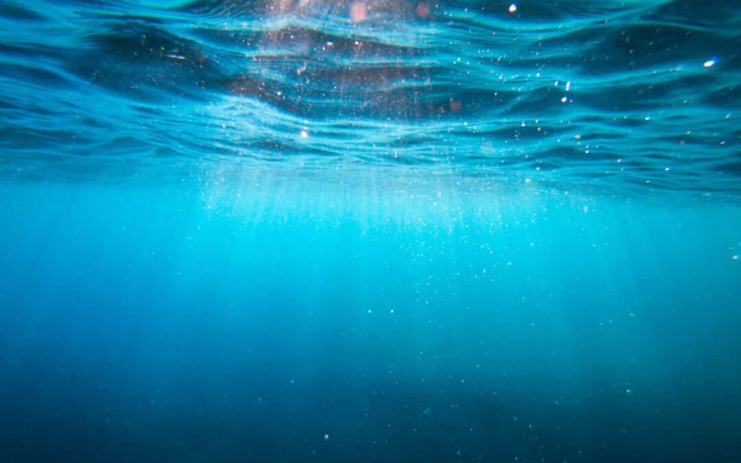 In fondo al mar: i segreti delle scienze marine